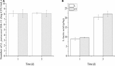 Regulatory Mechanisms of L-Lactic Acid and Taste Substances in Chinese Acid Rice Soup (Rice-Acid) Fermented With a Lacticaseibacillus paracasei and Kluyveromyces marxianus